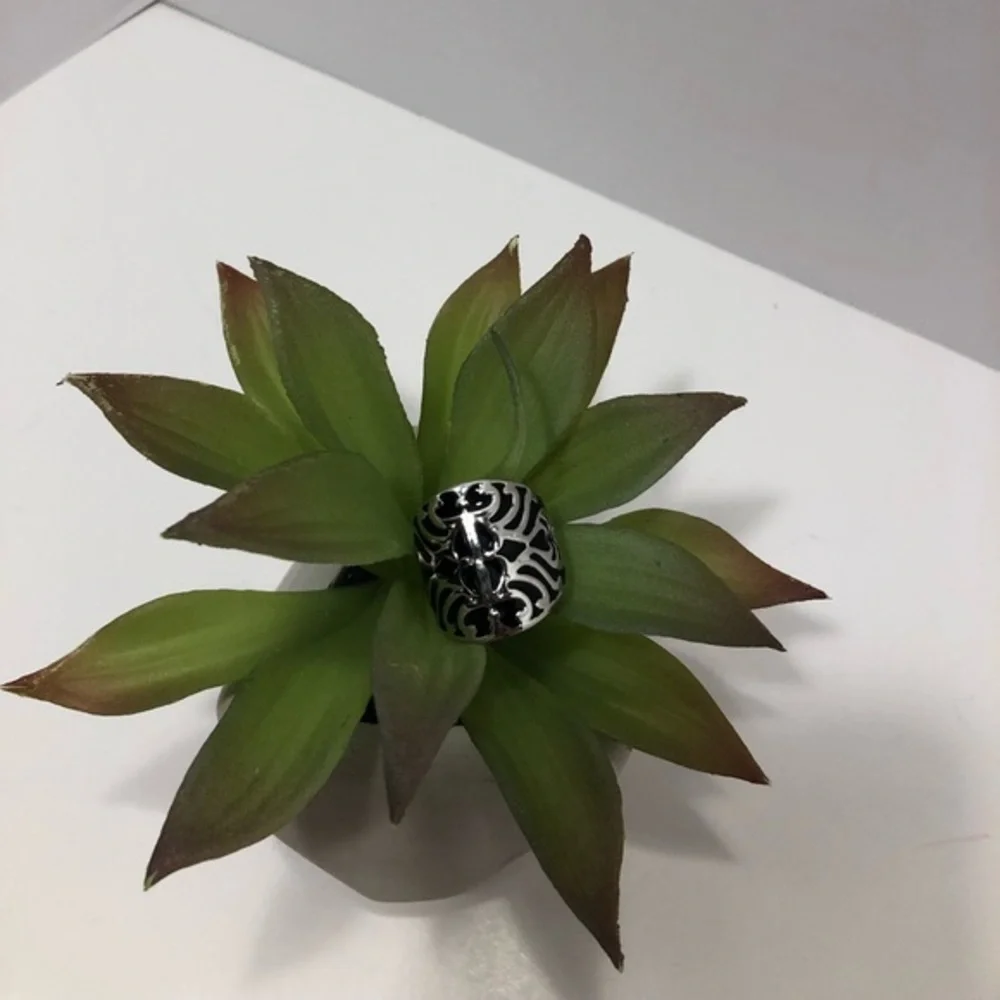 Black and Silver ring